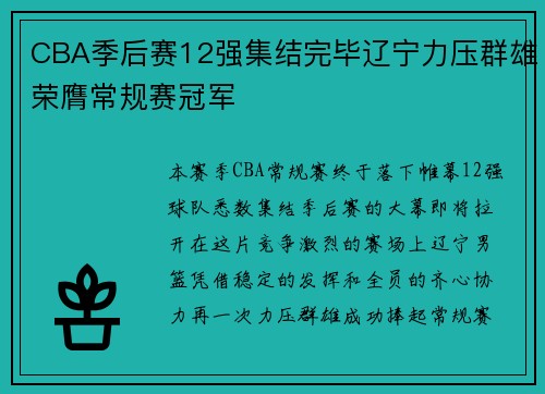 CBA季后赛12强集结完毕辽宁力压群雄荣膺常规赛冠军